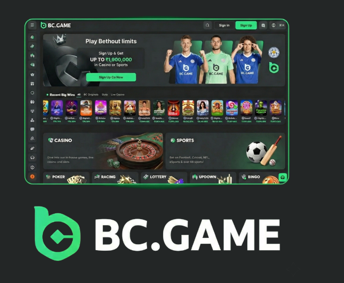 The Ultimate Guide to the BC.Game App Play, Win, and Enjoy